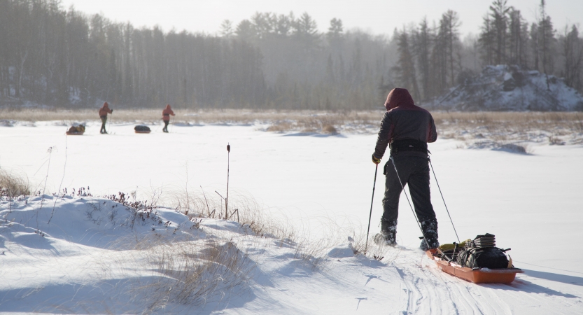 A person cross country skis and pulls a small sled across a snowy landscape toward a line of trees. There are two other skiers pulling small sleds ahead of them. 